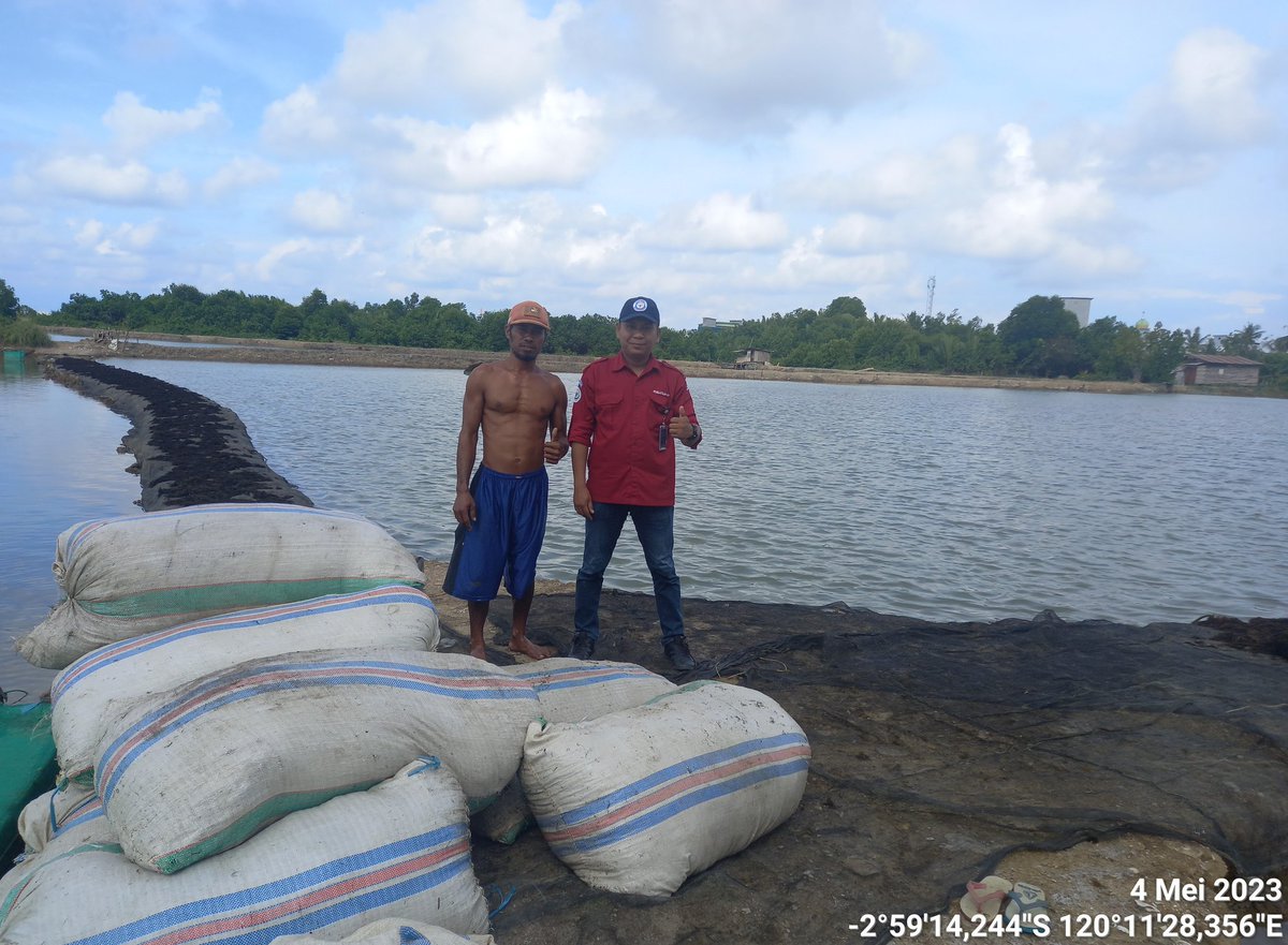IkraRYasmin's tweet photo. Kamis 4/5 ,Ikra, Luhkan Kota Palopo, di Kel. Rampoang Kec. Bara, mlporkan penjual bibit RL. Gracilaria ang. klp graciltam sbnyk 3,5 ton dng hrga Jual per kilo Rp. 1500 #luhlapor #GiatLuhkanSatminkalMaros #kotapalopo #Tangkap @brsdm_kp @puslatluhkp @BRPBAP3_Maros https://t.co/U2qkUqT6tZ