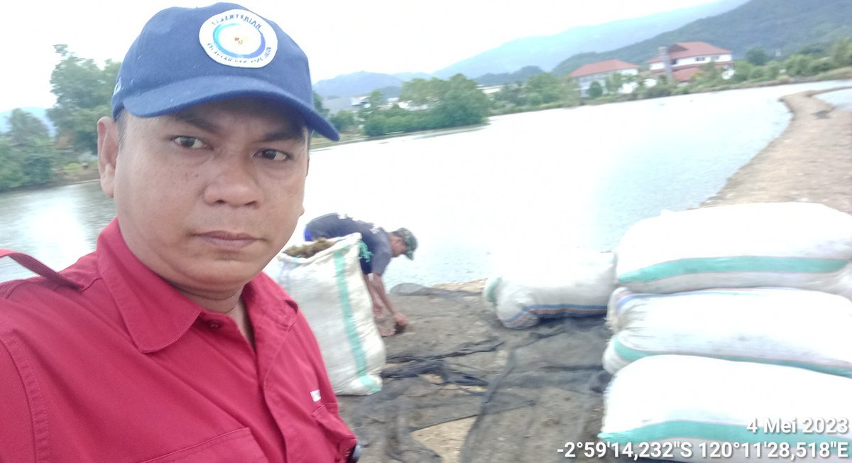 IkraRYasmin's tweet photo. Kamis 4/5 ,Ikra, Luhkan Kota Palopo, di Kel. Rampoang Kec. Bara, mlporkan penjual bibit RL. Gracilaria ang. klp graciltam sbnyk 3,5 ton dng hrga Jual per kilo Rp. 1500 #luhlapor #GiatLuhkanSatminkalMaros #kotapalopo #Tangkap @brsdm_kp @puslatluhkp @BRPBAP3_Maros https://t.co/U2qkUqT6tZ