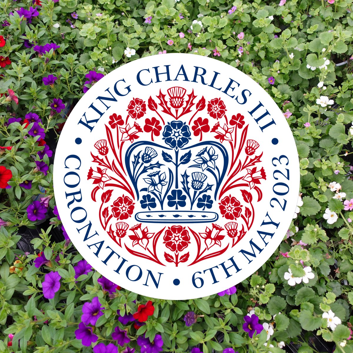 InExcessUK's tweet photo. Today is the day!👑💜
The warmest wishes to King Charles and Queen Camilla!
We hope everyone has a wonderful long weekend celebrating this momentous event 🎉 https://t.co/m0HQuzGXKC