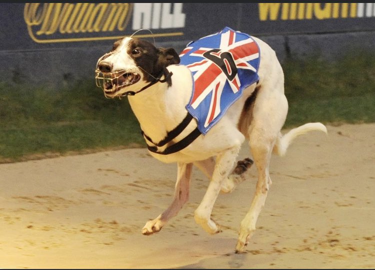 Bob Glasgow (@bobglasgow) on Twitter photo 