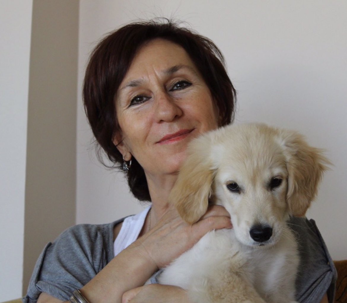 sinem kılıç akçay tweet media