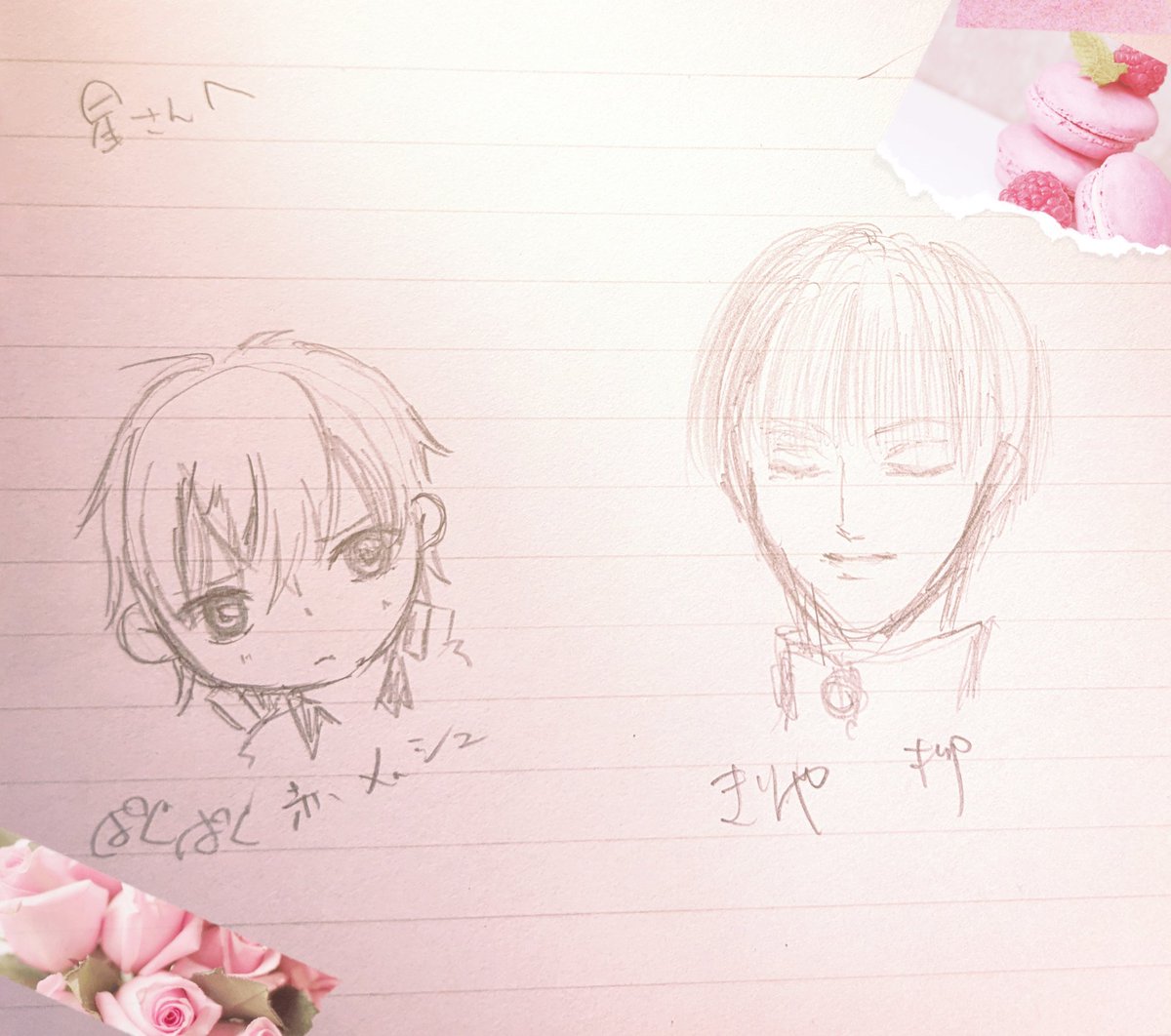 描いていただいたもの🥺 手描きほんと嬉しい🩷🕊️