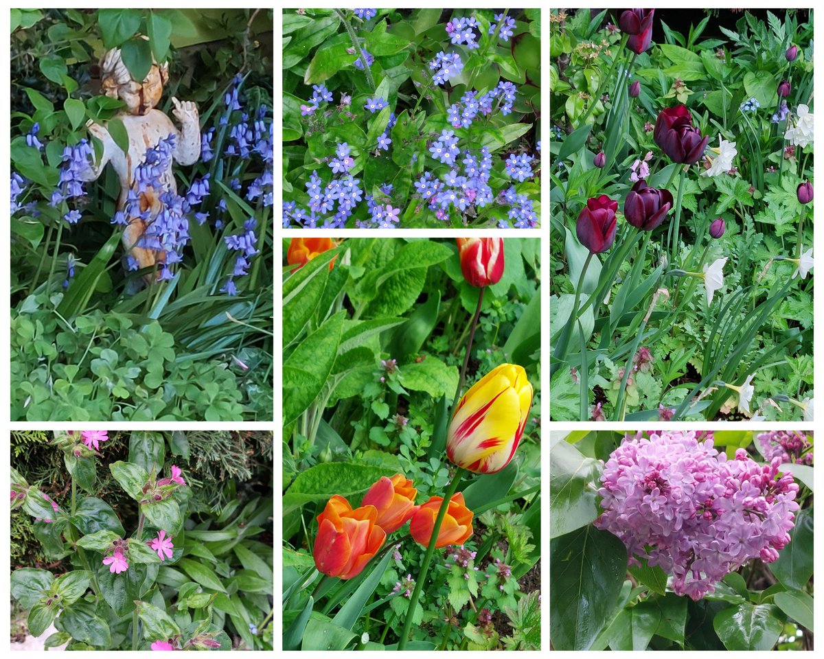 greendragon123's tweet image. #sixonsaturday #spring #gardensoftwitter 😊