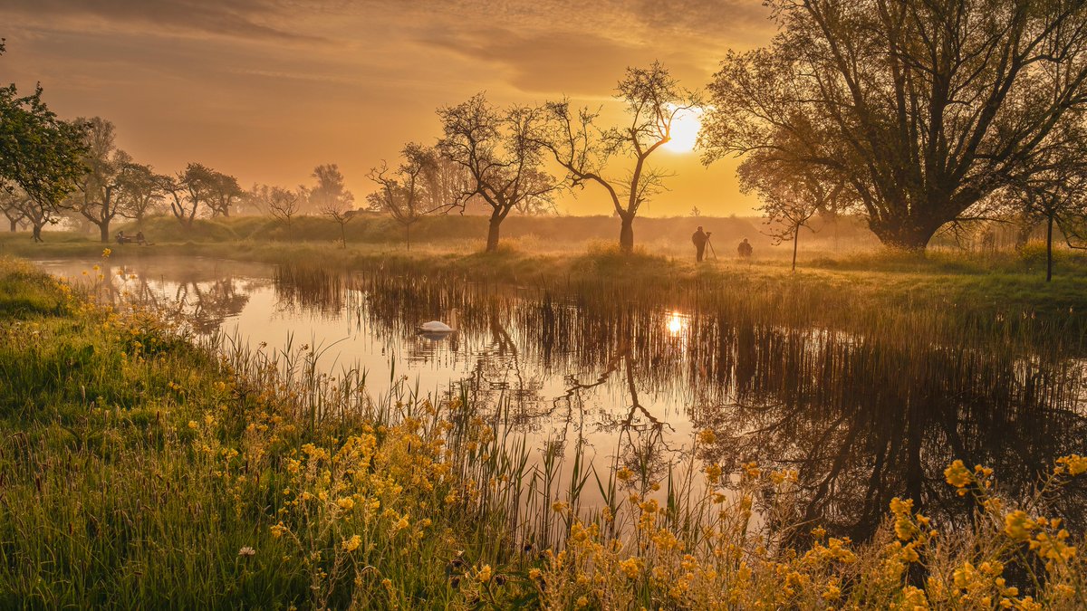 Betuwefotograaf.nl tweet media