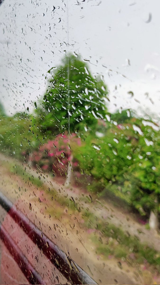 rahul_kush211's tweet image. 6th May '23 | Sonipat 
Here comes the rain again falling from the star, 
Drenching in the same again is Delhi-NCR!

#Rains #NotsoSummer
