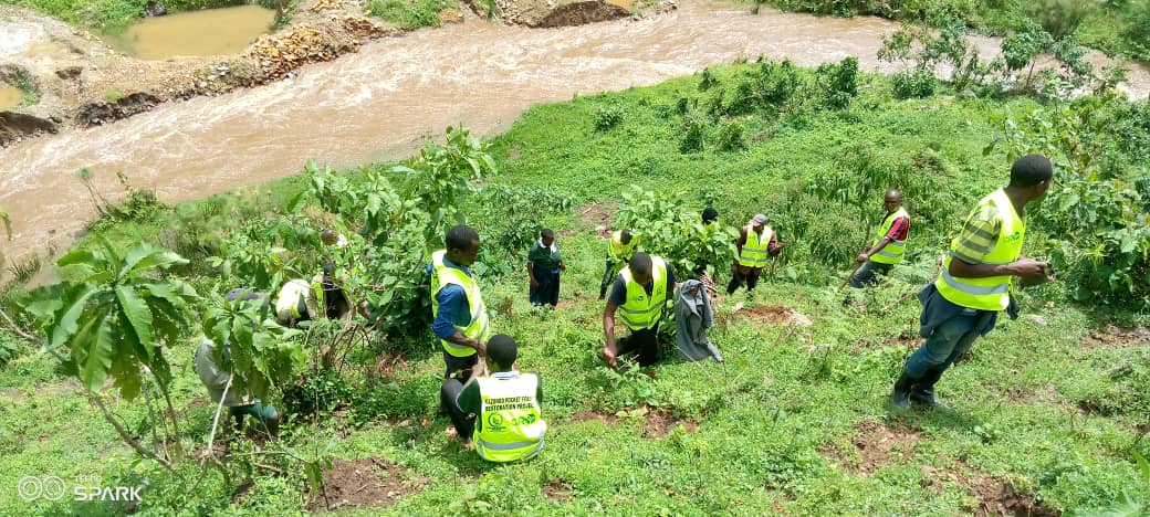 MillionTrees_Ug's tweet photo. #Kisoro
On 5th May, we planted more 1450 indigenous trees with local people actively involved.
Tree planting continues until we finish #20acres of degraded hills of Kazogo Pocket forest
@KigoziMaggie @priyagujadhur @IKatwesige @andersen_inger
@DeoAkiiki
#GenerationRestoration https://t.co/mX6cRX4jpj