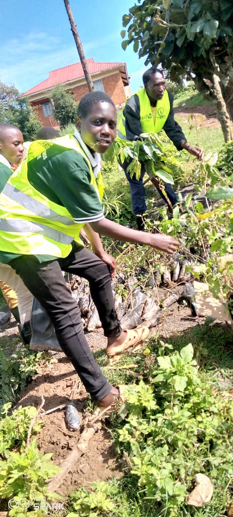 MillionTrees_Ug's tweet photo. #Kisoro
On 5th May, we planted more 1450 indigenous trees with local people actively involved.
Tree planting continues until we finish #20acres of degraded hills of Kazogo Pocket forest
@KigoziMaggie @priyagujadhur @IKatwesige @andersen_inger
@DeoAkiiki
#GenerationRestoration https://t.co/mX6cRX4jpj