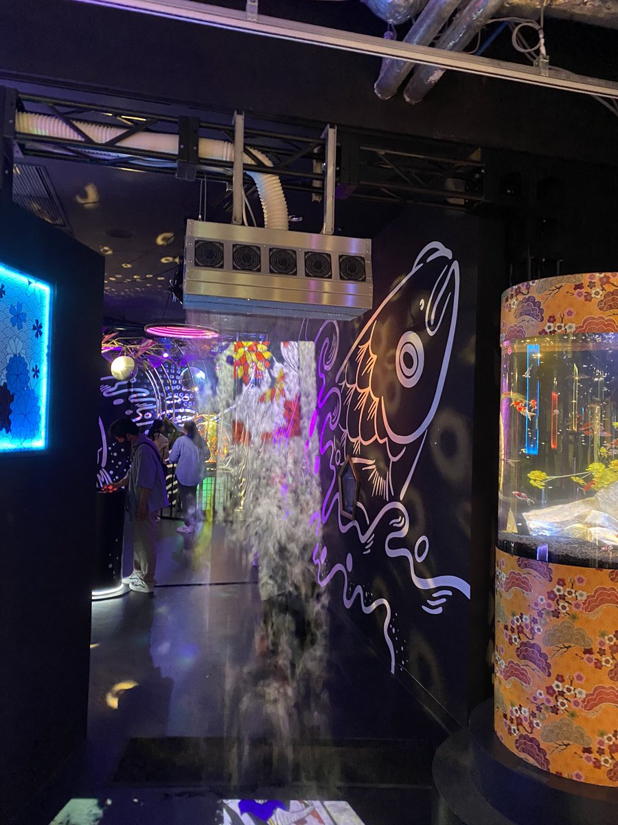 お台場の和風アクアリウムに行った。見せた方が上手い。幻想的なアート。金魚いっぱいいた。
