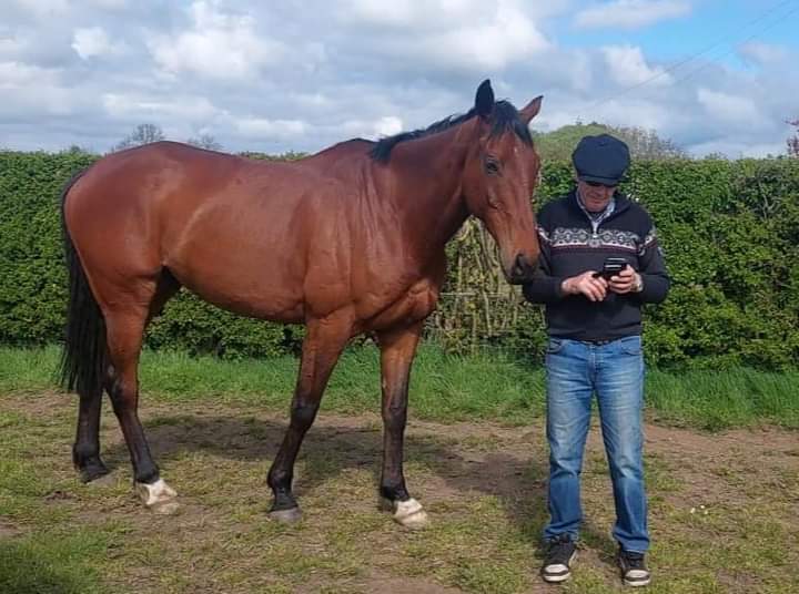 So lovely to see @lucindavrussell @petescu superstars #CorachRambler #AppleAway (with Fox's Fancy) #AhoySenor on their hols! 😍
Pics from LRR Facebook.
