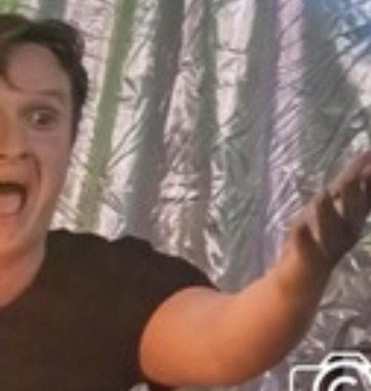 Dutch Uncles tweet media