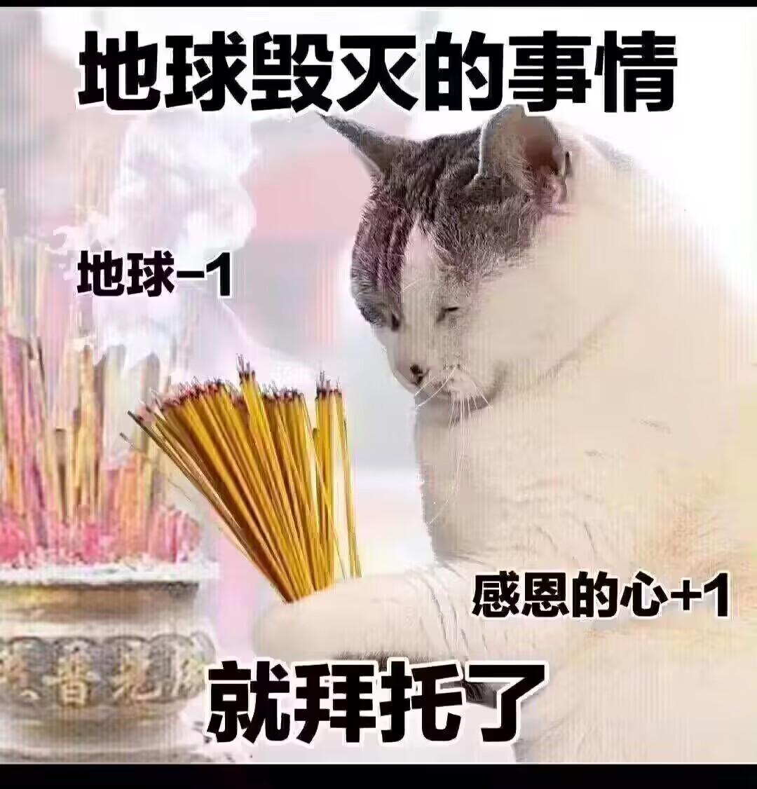 玖璃 (@NormanB37066145) / Posts / X
