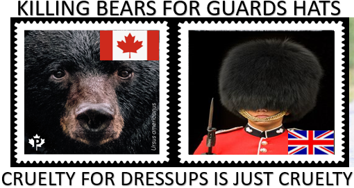 mryansisland's tweet photo. #Coronation How many Bears were killed for #RoyalFamily dress up night? https://t.co/7kiDZ0ms5D