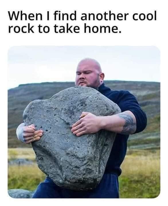 WholesomeMemes tweet media