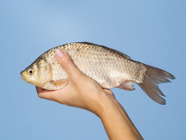 fishbianism's tweet photo. i keep that thang on me https://t.co/oSRfb1ExDm