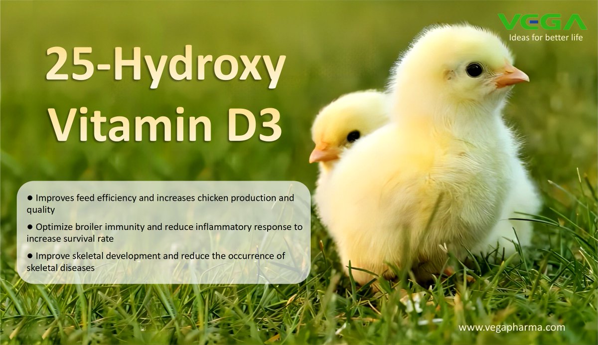 LilyWan96734002's tweet photo. 25-Hydroxy Vitamin D3
#VD3 #D3 #vitamins #VitaminD3 #vitaminaD
https://t.co/XjQfmErtfc https://t.co/4oHxHgCVEK