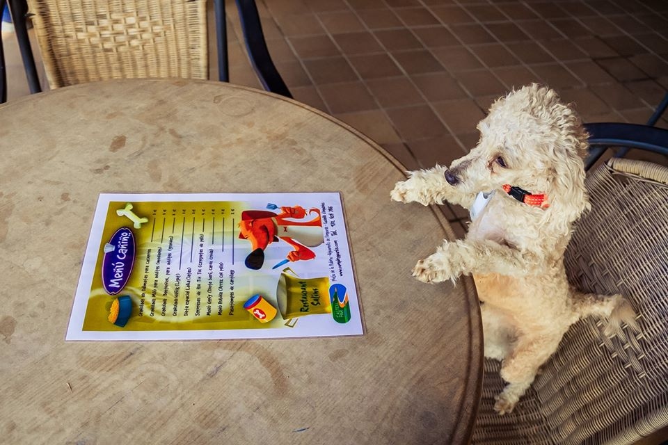 MarCamping's tweet photo. PRIMER RESTAURANT A L’ESTAT AMB MENÚ PER A GOSSOS
#camping #costabrava #petfriendly
https://t.co/VJZVMu3Doc https://t.co/g1TxyuZc37