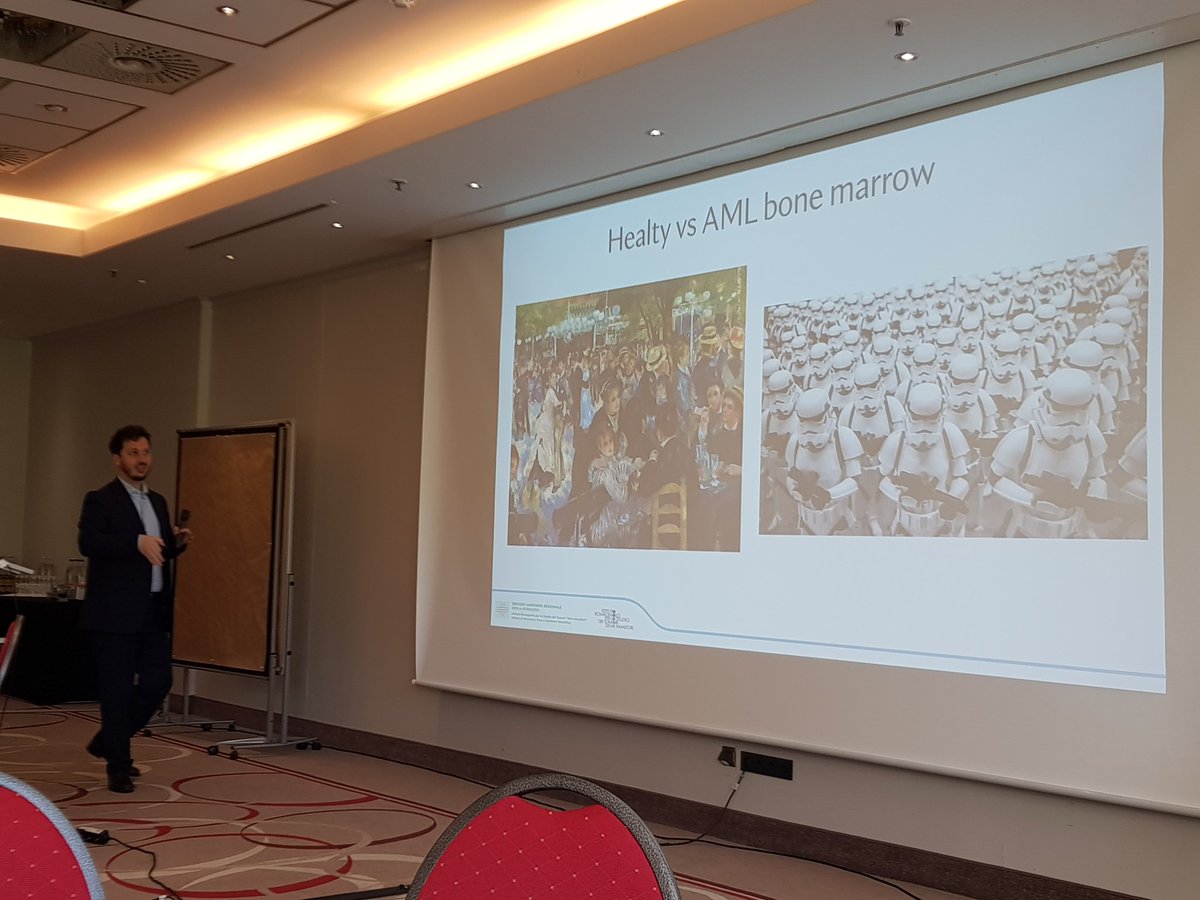 Healthy vs #AML #bonemarrow visually explained by Pr Giovanni Marconi to @AcuteLeuk members: Renoir ball dancers vs. Star Wars Stormtroopers 👉🏻 variety of bone marrow components vs. dominance of #myeloblasts #acutemyeloidleukemia