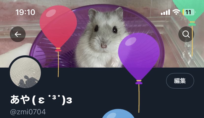 zmi0704's tweet photo. 風船🎈

またひとつ歳をとりましたあ……
自分らしく強く生きていこうと思います🤪 https://t.co/HhuIPR6o05