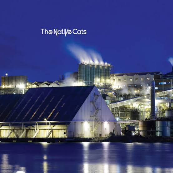 some news about a place vital to our history and dear to our hearts: to commemorate thirteen and a half years or so since the release of the Catspaw/Lemon Juice 7”, the Native Cats have officially purchased the legendary “Native Cats house” immortalised on the cover