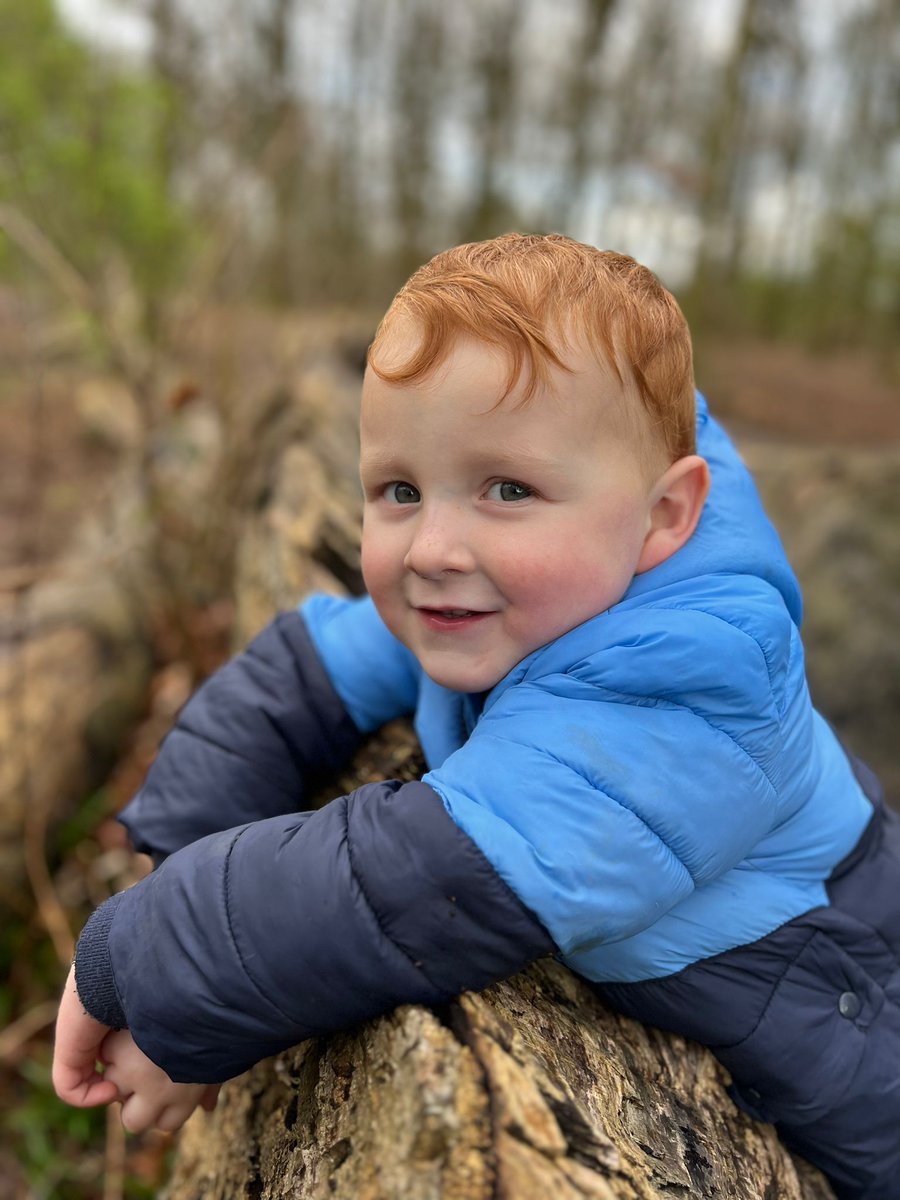 Joanna Hankinson tweet media