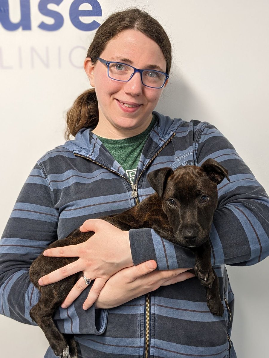 SolarLunix's tweet photo. Puppies make it better right? #phdlife #phdchat https://t.co/LLrUqyBF8l
