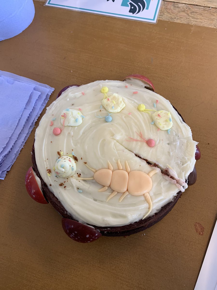 PhDone! Submitted my PhD thesis yesterday and got the best cake from @laura_brans including particles - now with added fungi!!! 🍄 I am a big fan of the faecal pellet also. Thanks to all those who helped to shape this work and me as a researcher over the years. 🌊🦠💩