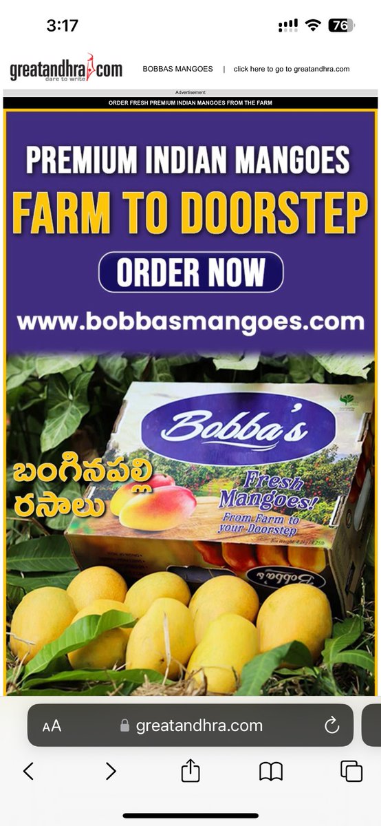 IndianClicks's tweet photo. Experience the exquisite flavor of top-quality Indian mangoes at their best with #Bobbas Premium Indian Mangoes Landing Page Ads are now on a Popular Website @greatandhranews
Now directly from Farm to your doorstep.🥭🌳😋
Order Now🥭➡️https://t.co/hx2xDASvxV
#BobbasMangoes #PremiumMangoes #IndianMangoes #FarmMangoes #HomeDelivery #IndianInUSA