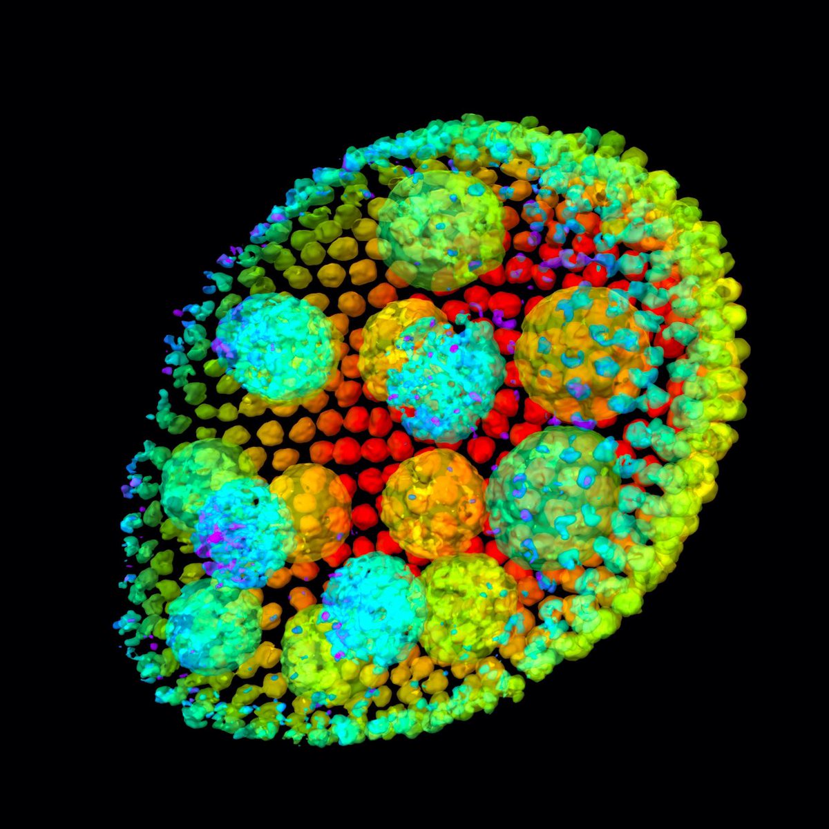 Cambridge Rare Disease Network (CamRARE) (@camraredisease) on Twitter photo 2 weeks to go til <a href="/pintofscience/">Pint of Science UK</a>!!
Come and explore brains & #genetics and the marvels & mischief of #mitochondria with fabulous #Cambridge researchers
There’ll be fun & games & stunning mito photography by Andy Li
Brains pintofscience.co.uk/event/rare-mind
Mito pintofscience.co.uk/event/rare-body 2 weeks to go til <a href="/pintofscience/">Pint of Science UK</a>!!
Come and explore brains & #genetics and the marvels & mischief of #mitochondria with fabulous #Cambridge researchers
There’ll be fun & games & stunning mito photography by Andy Li
Brains pintofscience.co.uk/event/rare-mind
Mito pintofscience.co.uk/event/rare-body
