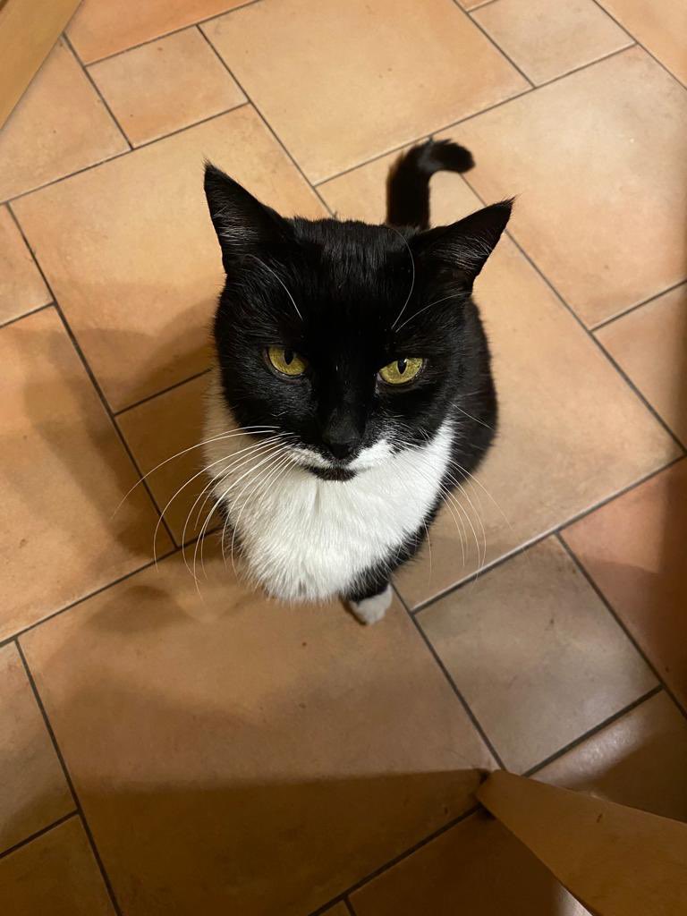 Carsten Freye tweet media