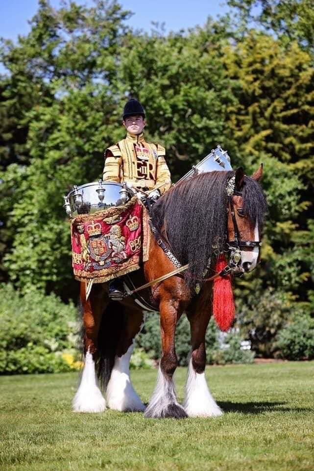 DyfedShires's tweet photo. Today’s the day! Look out for Ed (Apollo) on parade!
#coronation https://t.co/YdNsaE2CeG