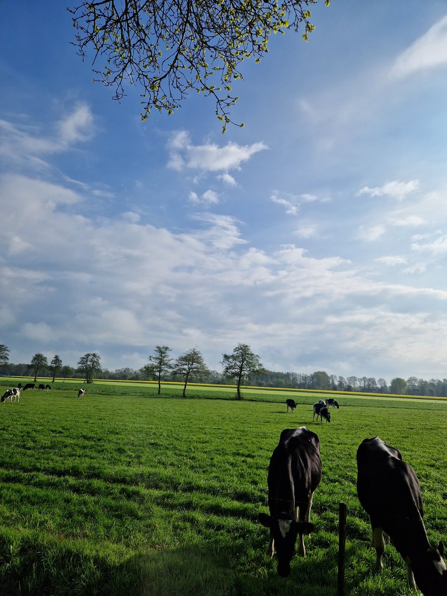 RobertoCrom's tweet photo. Zo ziet de vrijheid er vanochtend uit! https://t.co/HmtFNxcfk3