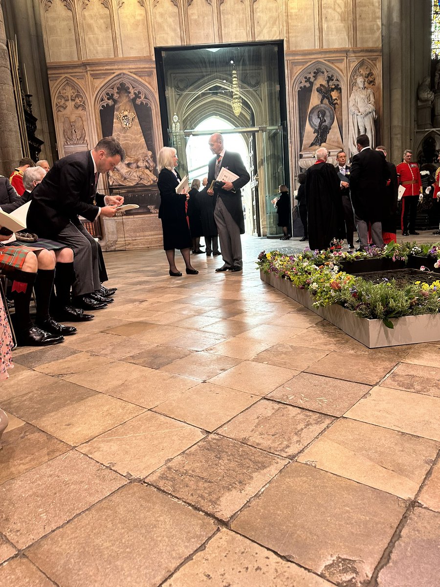 Daniel Bingley tweet media