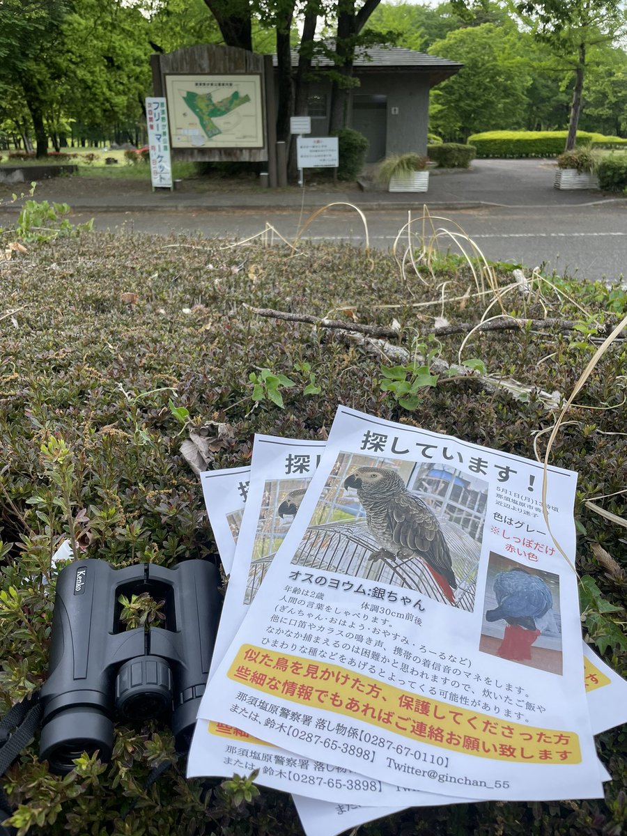 a2ne1234's tweet photo. 飼い主さんにうまく伝わらないので😢
那須野が原公園周辺を車で捜索しましたが見当たらないので

今度は那須野が原公園を捜索します https://t.co/lrCA7kHgZR