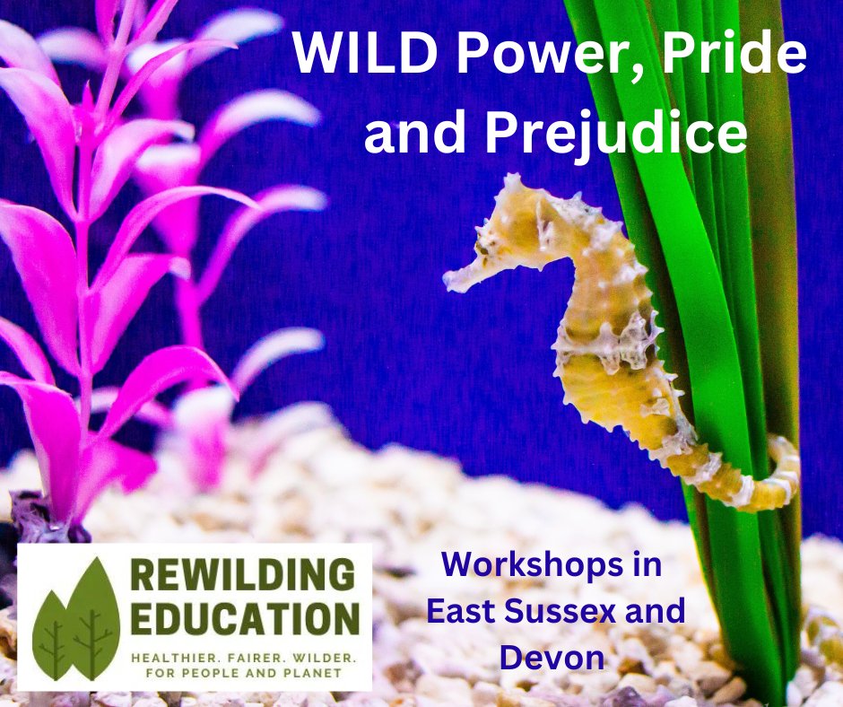If this thread resonates, then this 1-day workshop by #RewildingEducation is for you. This day is about you. And me. And us. And them. Sat 10th June, East Sussex OR Tues 25th July, Devon. 4/ Register at bit.ly/3M2pxGU #ReimagineEducation