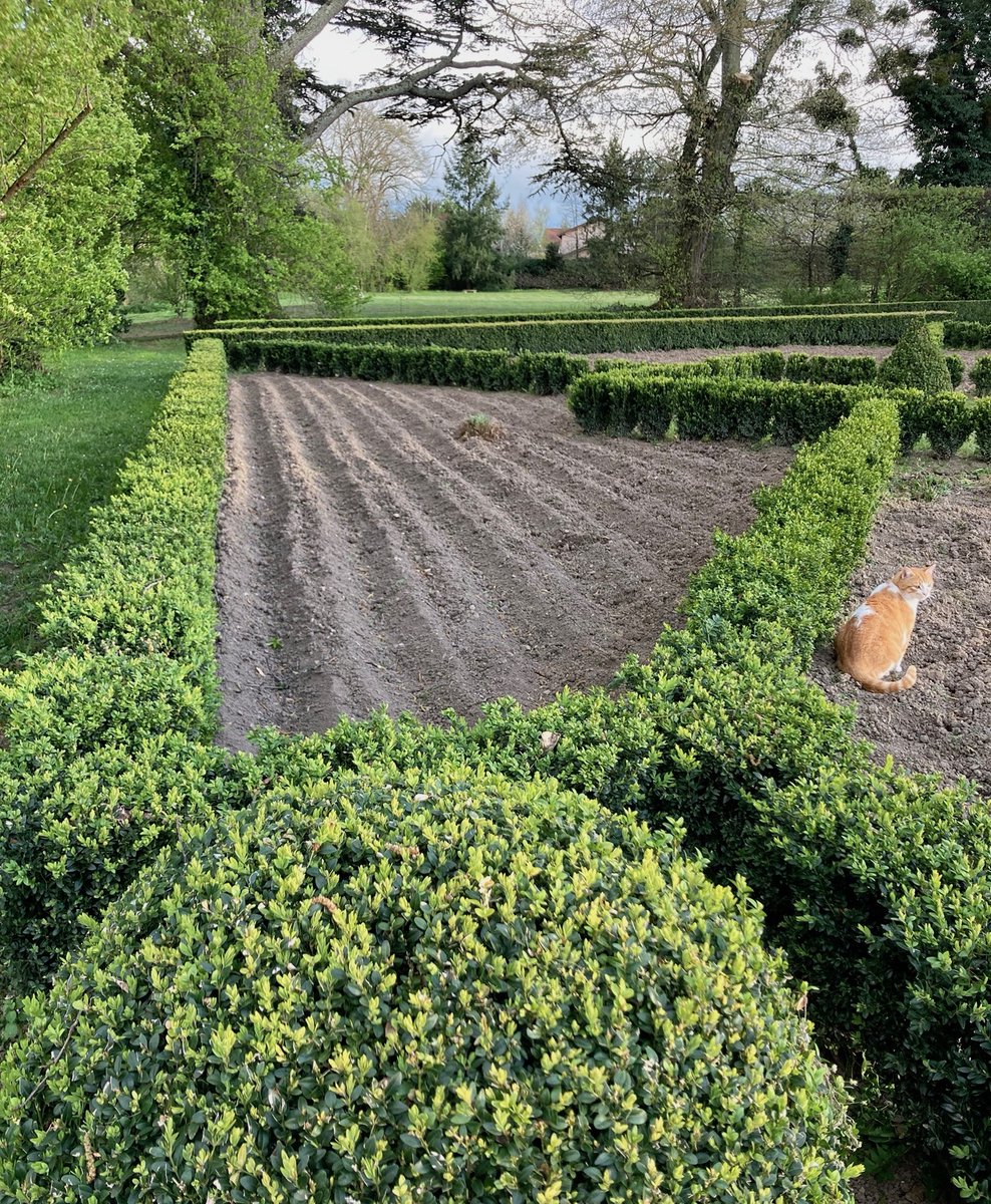 LaCroze63's tweet photo. 📷

les 13 et 14 mai, Journées mondiales de l'art topiaire aux Jardins de La Croze !
Le  samedi à 14 h 30 :  visite, causerie autour des ravageurs et soins des buis,  suivi d'un ateliier-démonstration sur la  fabrication d'un gabarit pour la taille. https://t.co/GwXANMQDJT