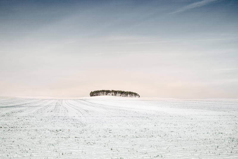 artlimitednet's tweet photo. Distant Forest by Gundula Walz
#minimalism #trees #fineart #forest #minimal #lonelyness #rural #gallery #digital #photography #nature #naturalism #landscapeart #winter #countryside #silence #field #visiblewomen #acre #contemplation #emptyness #landscape… https://t.co/fXV9eiIpUr https://t.co/dSfLWGsc2F