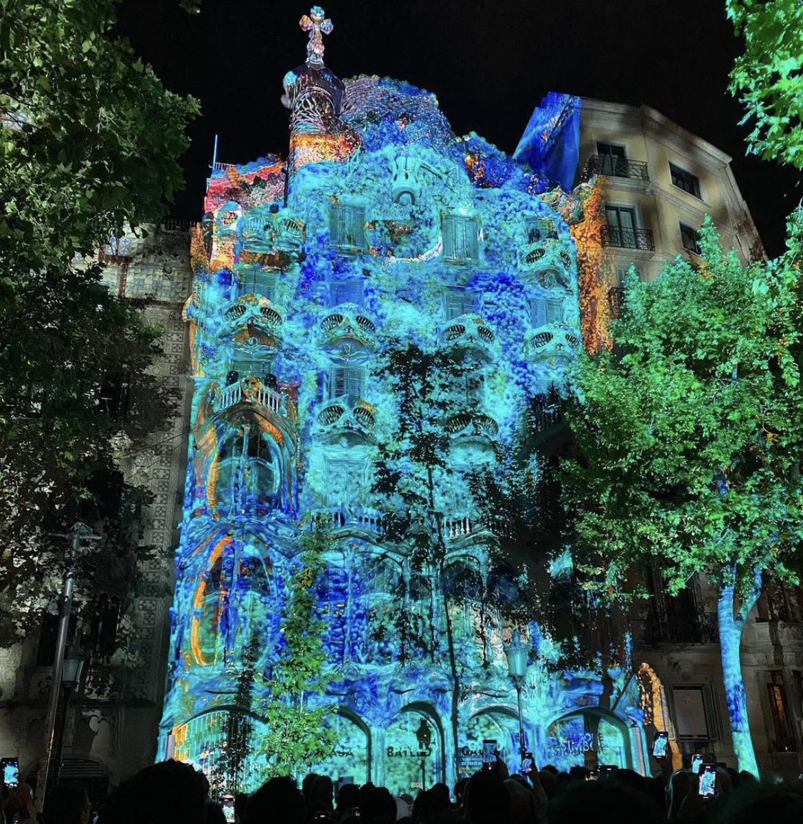 Zeal Shah 🇮🇳 tweet media