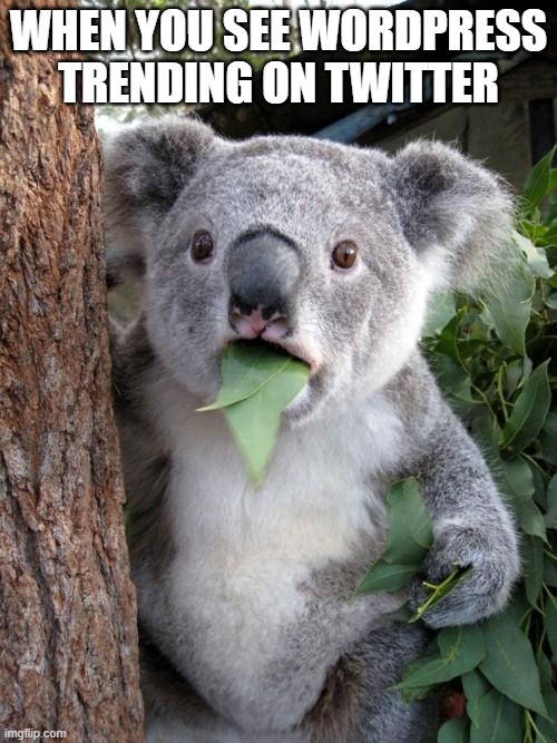 mgaak1dev's tweet photo. It has been a long time since I shared a meme, so here is funny one:

#WordPress https://t.co/dWfOc5qNC4