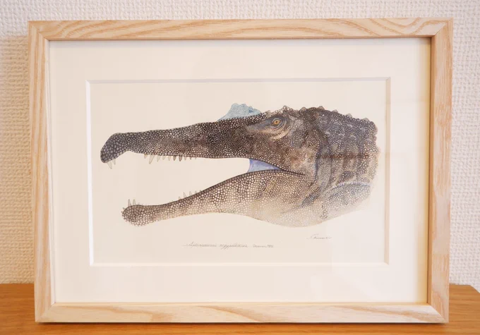 スピノサウルス描きました。全長18mという巨大さに加えて、水棲種なんですよ。ワニみたいな。水タイプの恐竜ってそうそういないんですごくワクワクします。銀座蔦屋の恐竜博開催記念フェアにて展示中〜! 