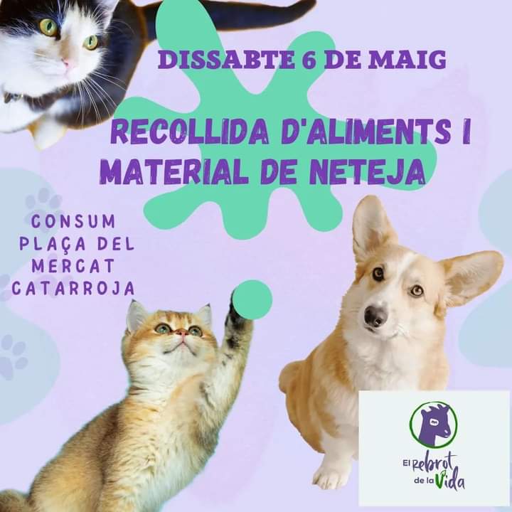 El Rebrot De La Vida tweet media