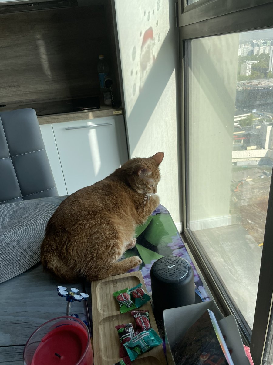 Gm friends 🙌🏼🔆