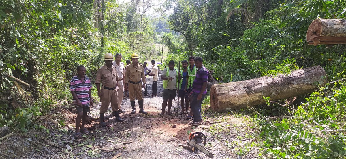 FireService_ANP's tweet photo. #FSBaratang promptly removed the uprooted fallen tree by cutting it down and clearing the road blockage for restoring normal traffic at Flat Bay, Baratang. https://t.co/HwQJ4TXYnk