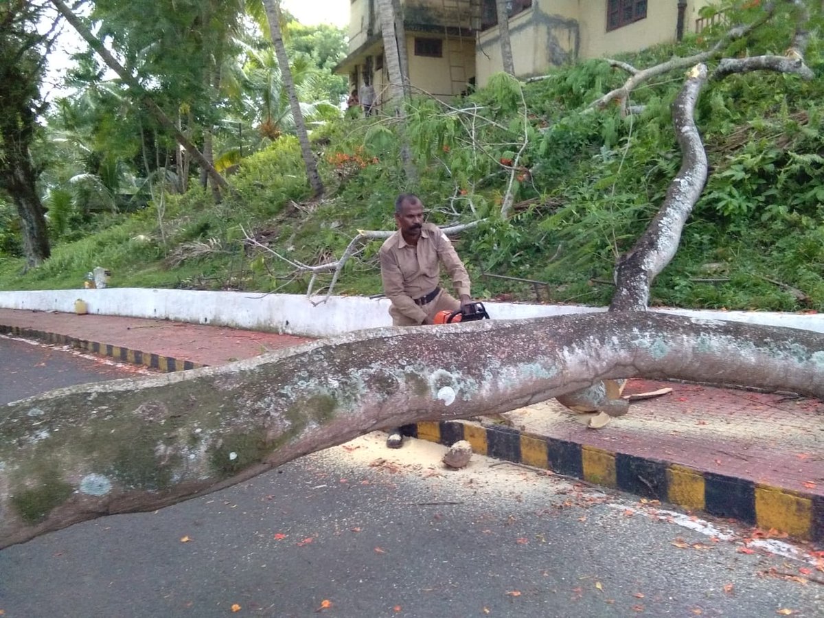 FireService_ANP's tweet photo. #FSKamorta personnel swiftly cleared the fallen tree branch from the roadside near Police Canteen, Kamorta and restored the traffic. https://t.co/JwxzNjkk0l