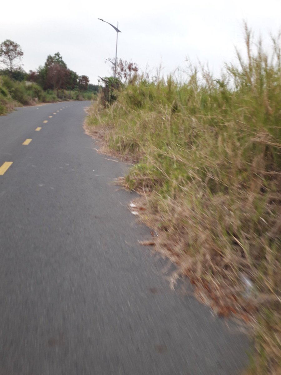 D4 kcn cao Q9 Tp Thu Đưc