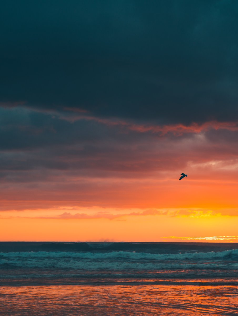 HummerBenz's tweet image. 