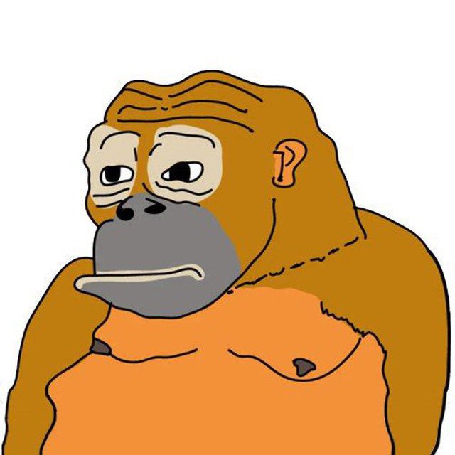 ABJOINT69's tweet photo. @CoinMarketCap $MONKE NEXT PEPE https://t.co/S5vqxrZj8j