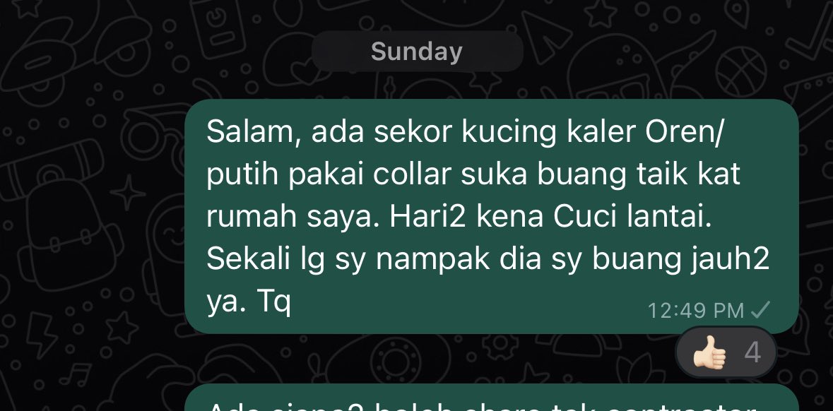 rumah aku jadi port kucing berak, hari2 kena cuci taik kucing. kadang2 sampai 4x sehari dia berak sampai aku kena hantar warning kat group residen