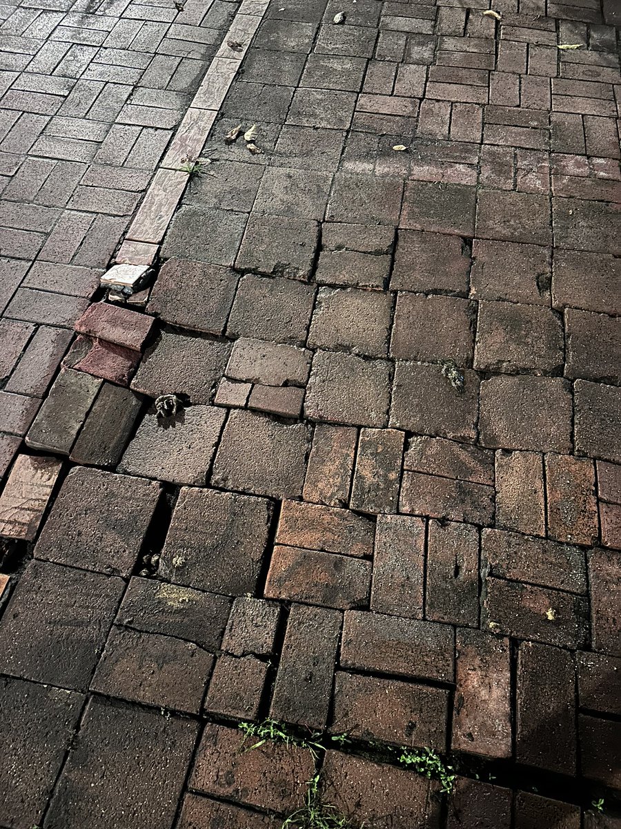 kep3n's tweet photo. rumah aku jadi port kucing berak, hari2 kena cuci taik kucing. kadang2 sampai 4x sehari dia berak sampai aku kena hantar warning kat group residen https://t.co/FUIMgrEqJx
