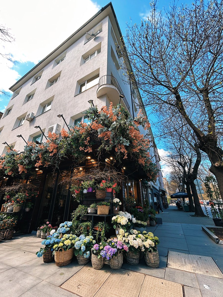 IlkaRocks's tweet photo. Need some flowers? Fav #flower store in #Sofia, #Bulgaria 🌸🤗

#icanbuymyselfflowers 
#flowers #софия #българия #шипка 
#beautiful #spring #streetphotography #travel #visitsofia #easterneurope #europe https://t.co/q5tqff0LxZ