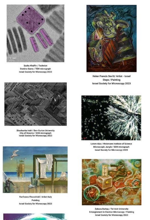 “Microscopy Meets Surrealism” – THE INTERNATIONAL ISM ART EXHIBITION- 23rd of May 2023 at Binyanei Hauma, Jerusalem
ismicroscopy.org.il/.../ism-art-ex…